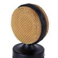 Direct Sound DS60 Microphone